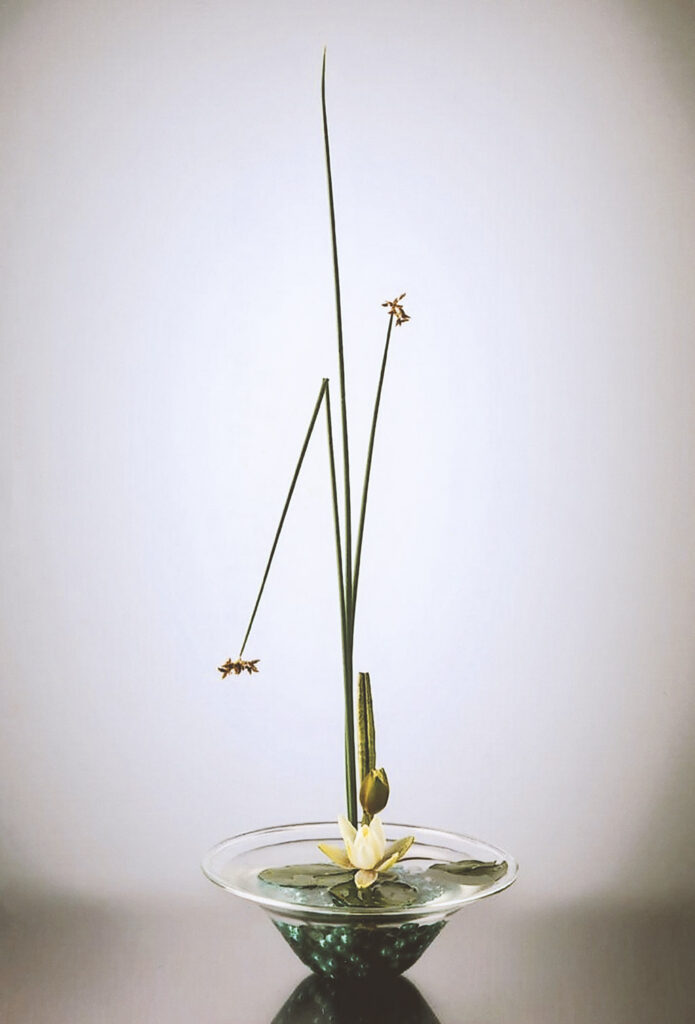 Ikebana Arrangement mit Wasserlilie