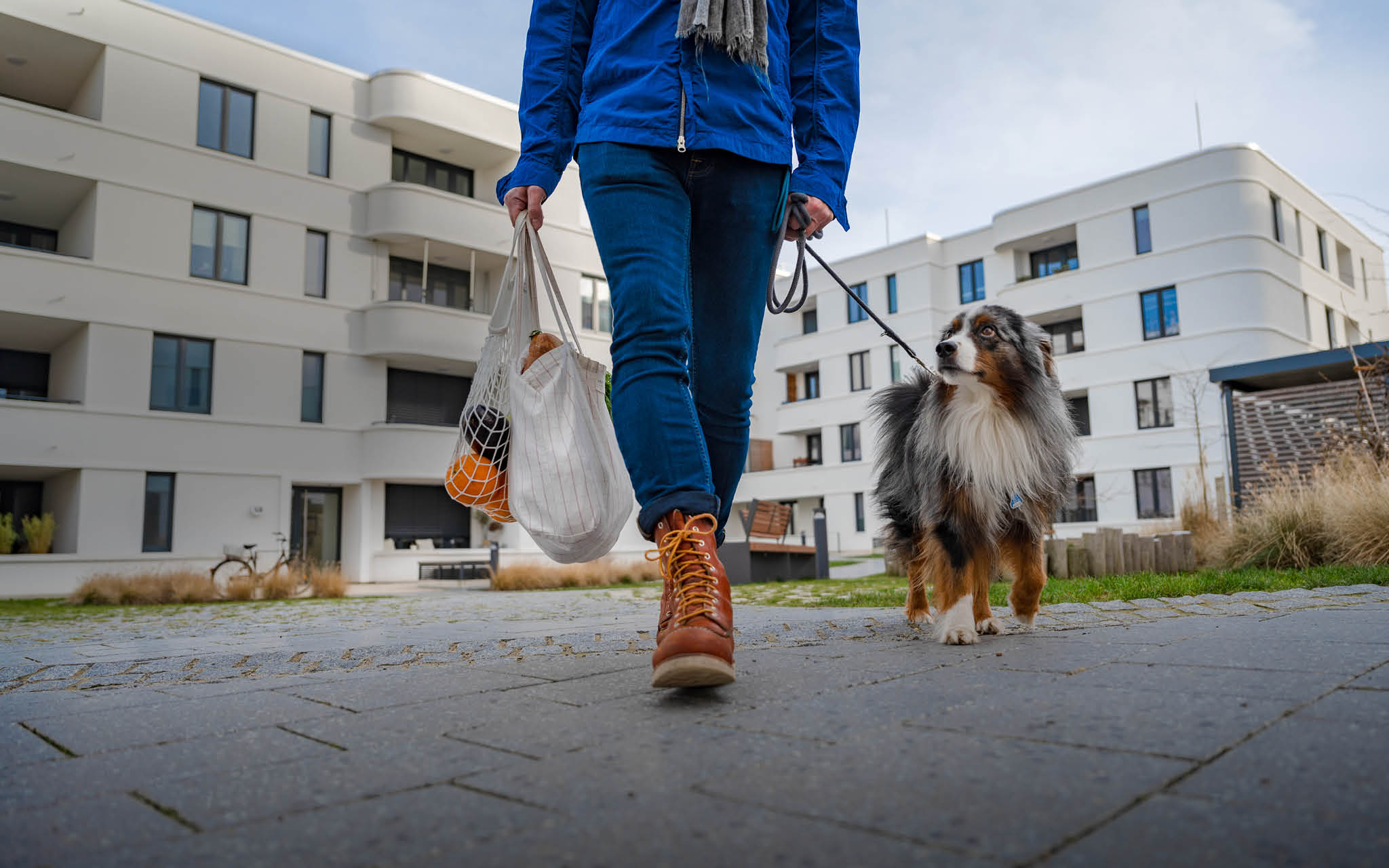 Mann mit Hund an Leine