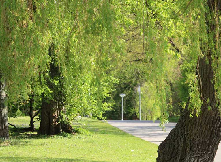 Wolfsburg Stadtmitte Park