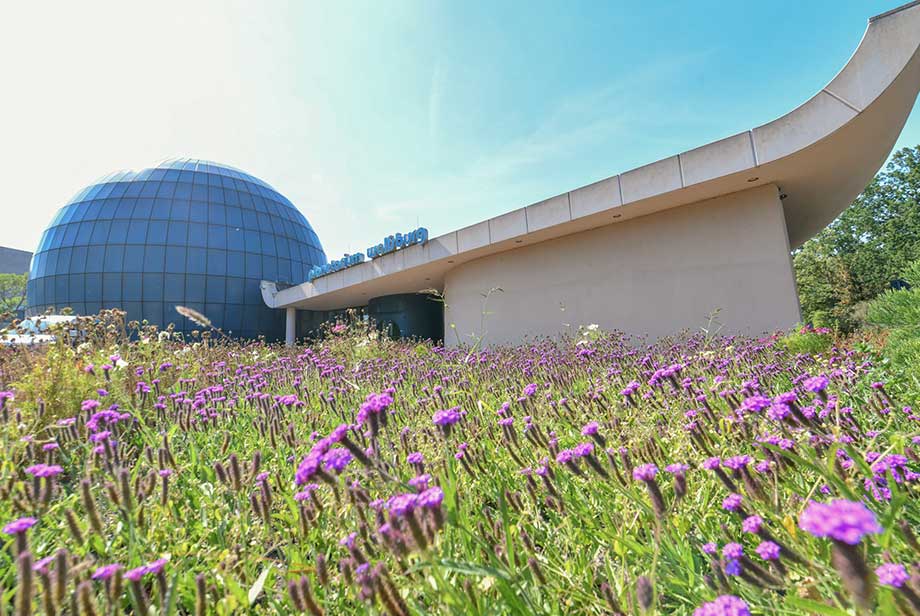 Planetarium Wolfsburg
